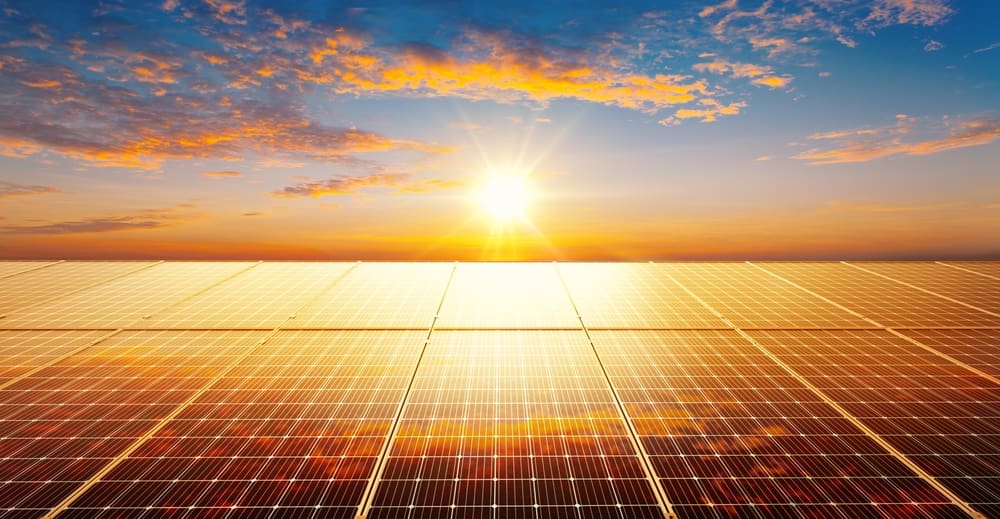 sun setting on solar farm