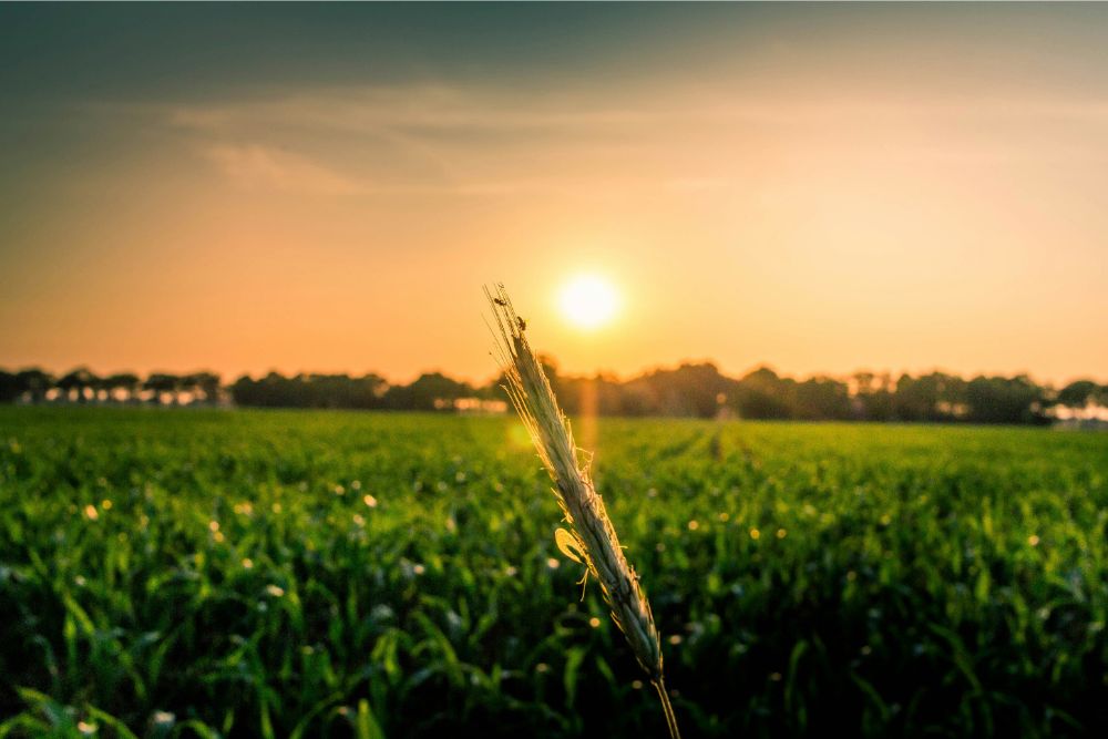 U.S. Light Energy Has Joined 38 Degrees North