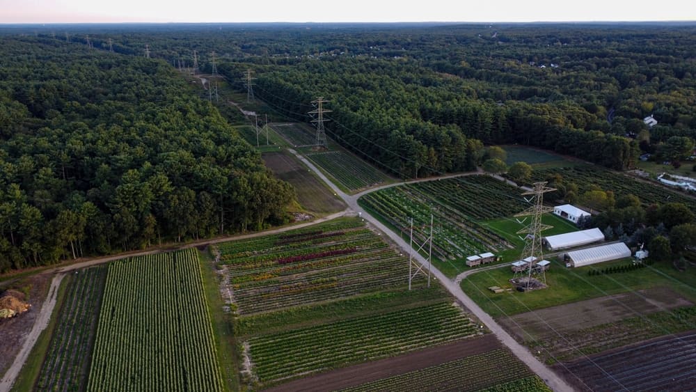 Is Solar Worth it in Massachusetts: 8 Land Leasing Benefits